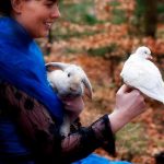 Tryllestøv kanin og due